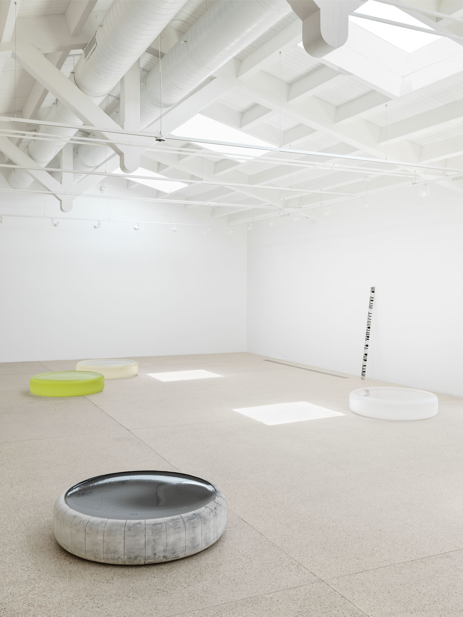 Exhibition Learning Notes: 'Roni Horn' - Hauser & Wirth